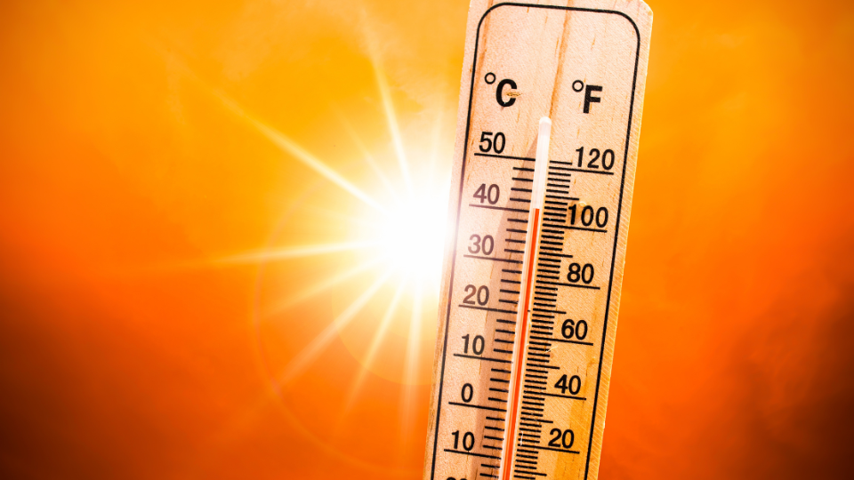 heat wave