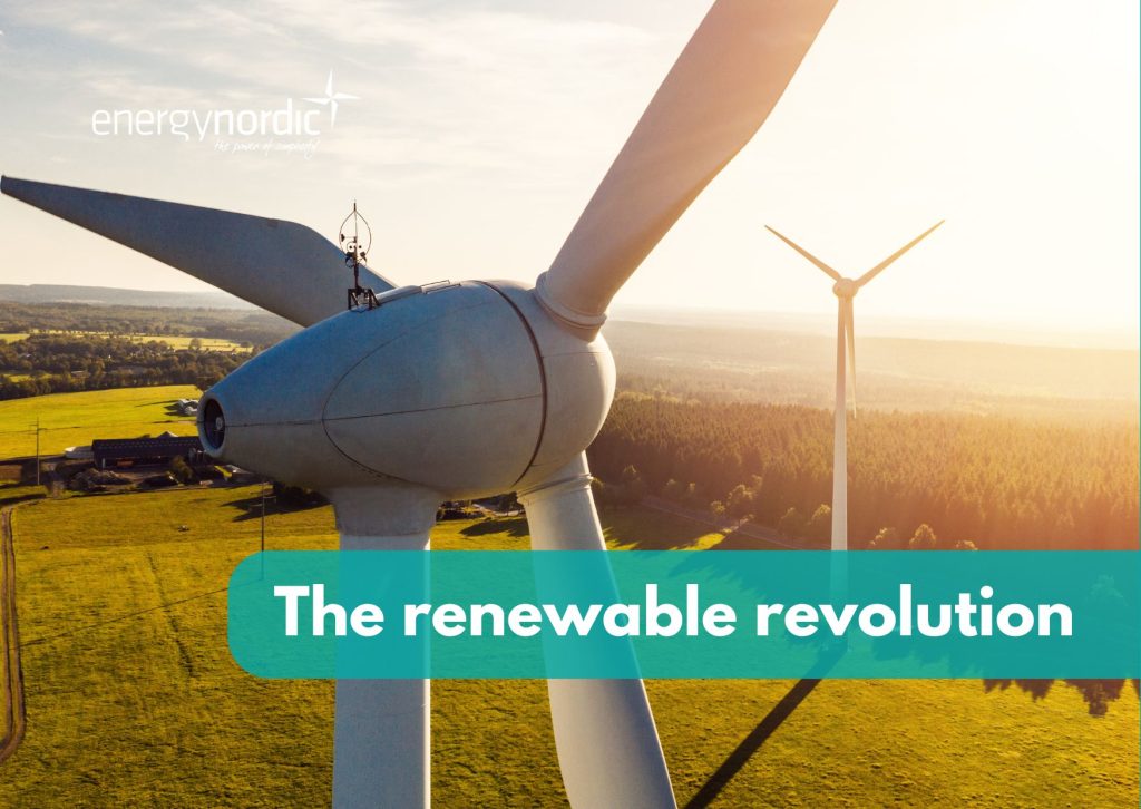 the_renewable_revolution