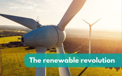 the_renewable_revolution