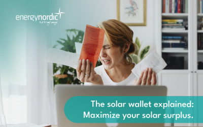 solar wallet; maximize solar surplus